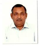Senior Vice President